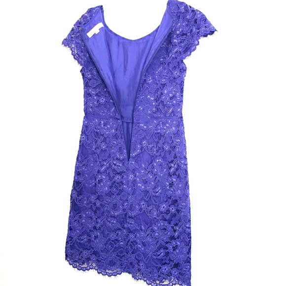 Loft Purple Lace Sheath Dress Scalloped Hem - Picture 8 of 11